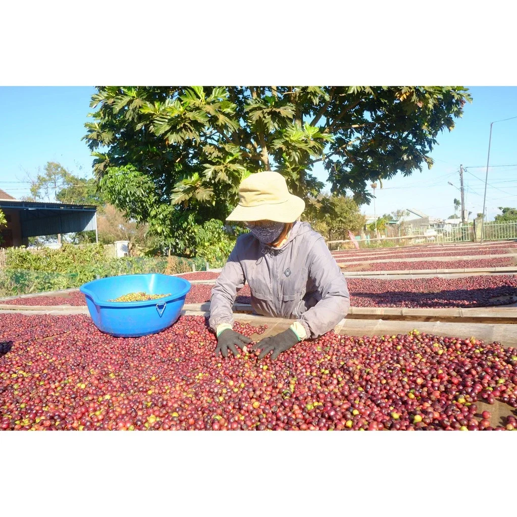 CÀ PHÊ MÊ TRANG ARABICA (100% HẠT ARABICA TÚI 500G)