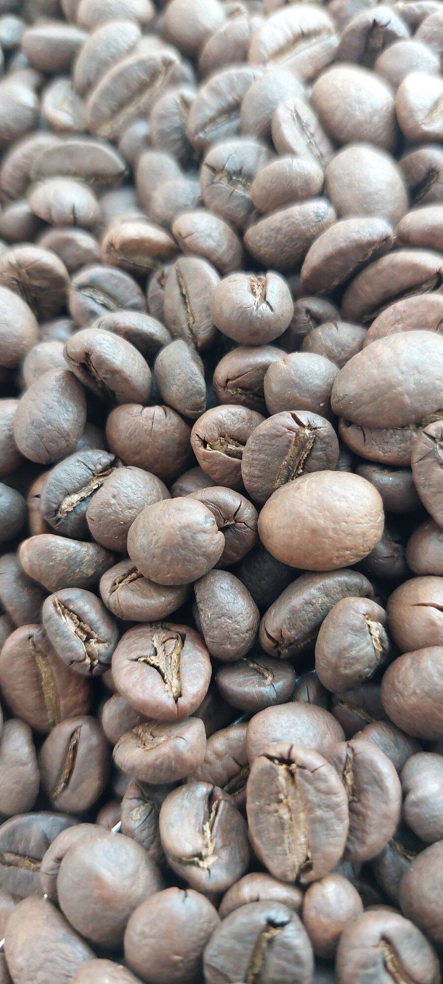 5kg Cafe Robusta nguyên chất Ban Mê Thuột