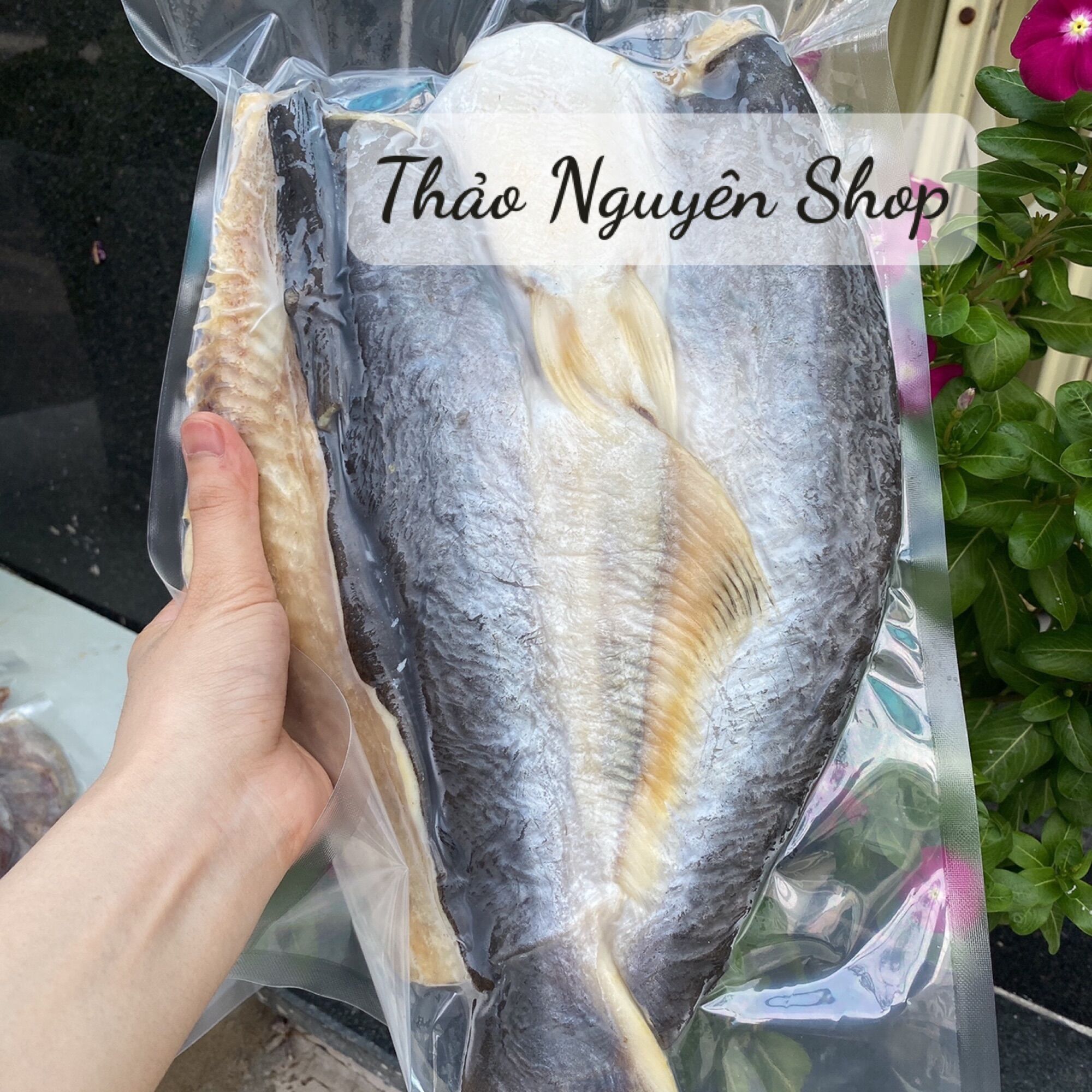 Khô cá dứa nuôi, nguyên con bỏ đầu. Size 600gr/con.