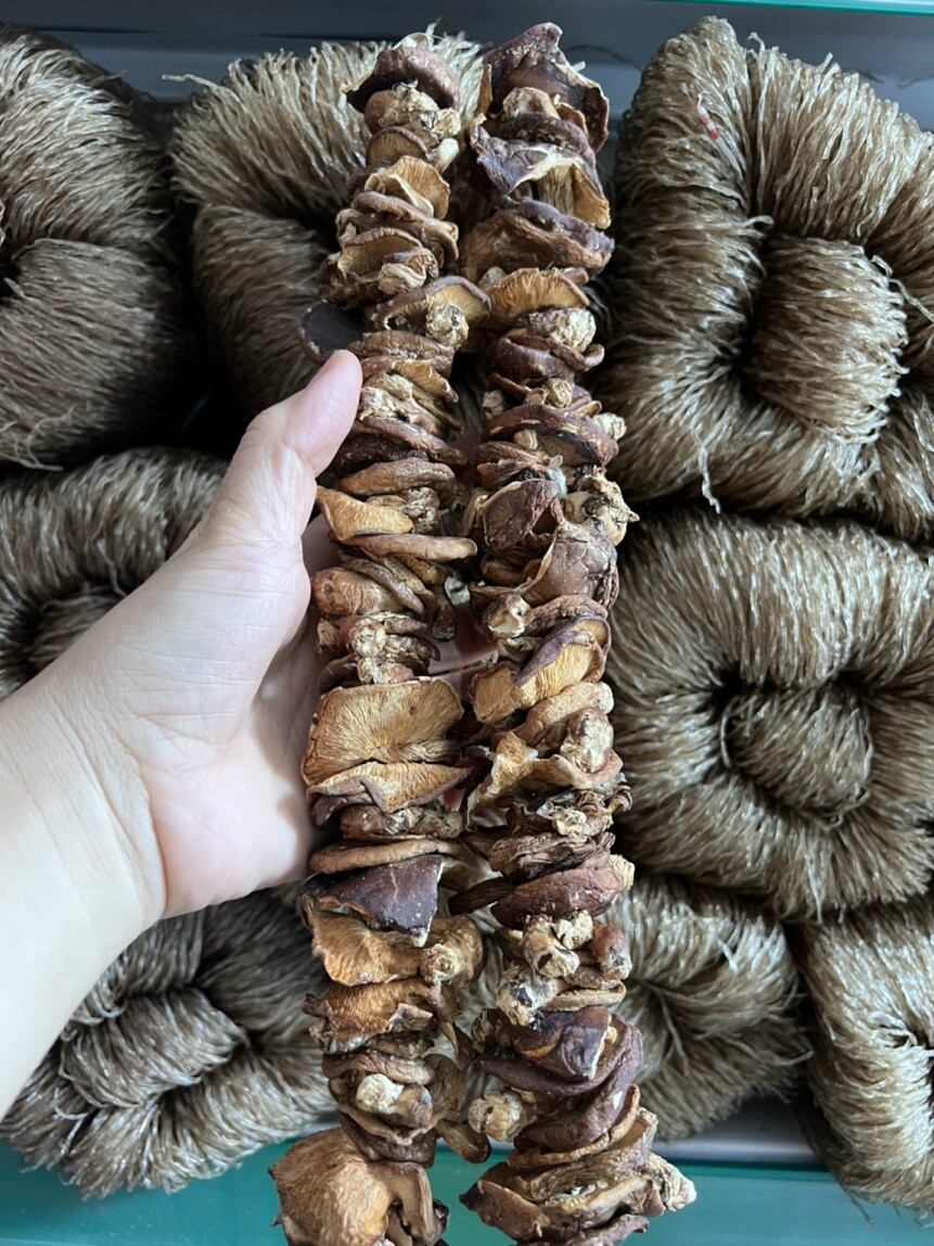 Nấm hương rừng  500gram