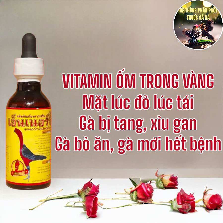 THUỐC GÀ ĐÁ VITAMIN ỐM TRONG VÀNG PHỤC HỒI GÀ BỆNH, GÀ TANG, GÀ BỊ TÁI NHỢT ỐM YẾU CHAI 60 ML