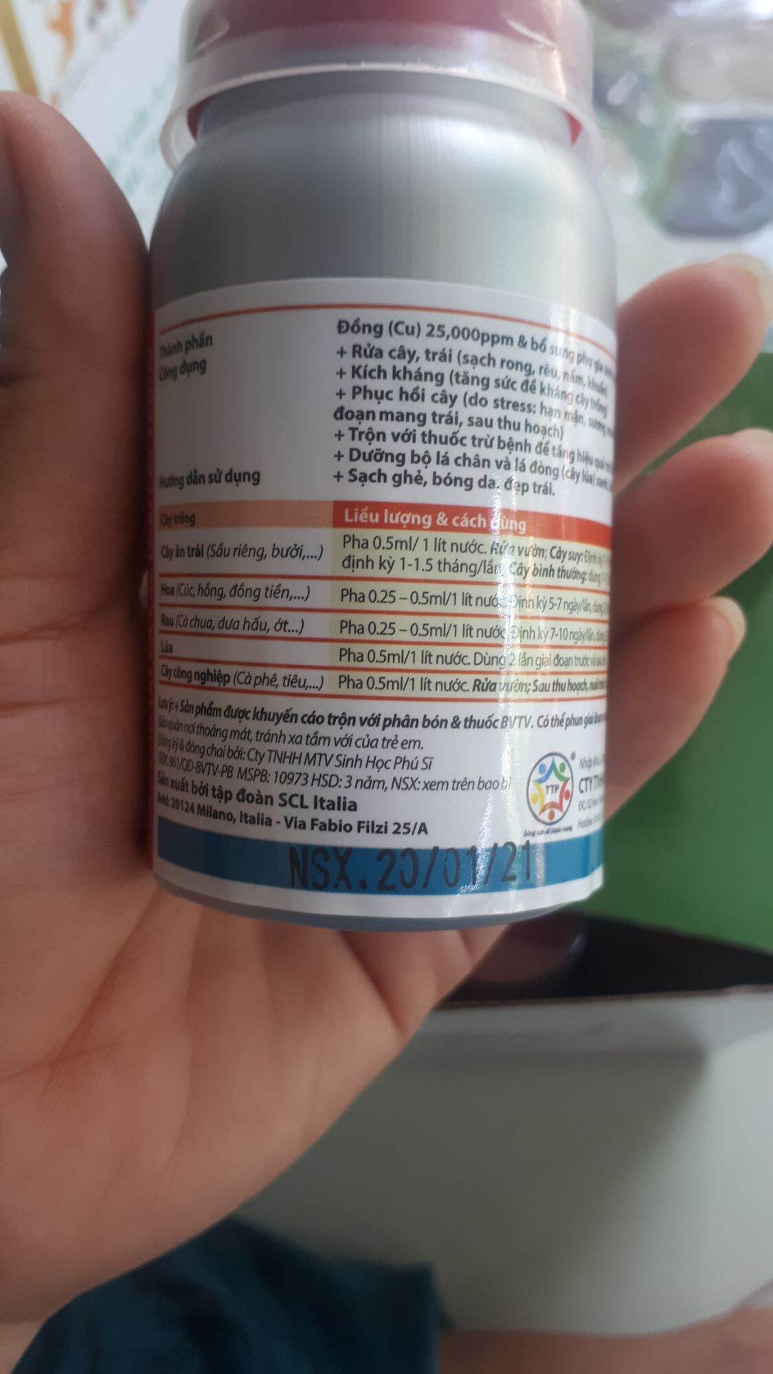 bệnh ghẻ xì mủ ở cây.