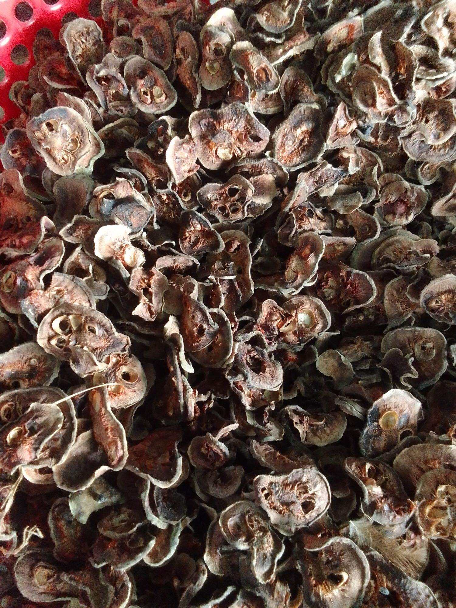 Quả chay khô 500g/nấu canh chua/kho cá/chay khô