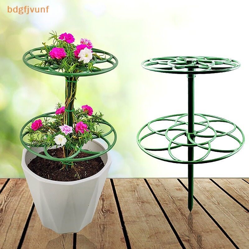 Khung giá đo hoa mười giờ. Kích thước 19/23/28cm