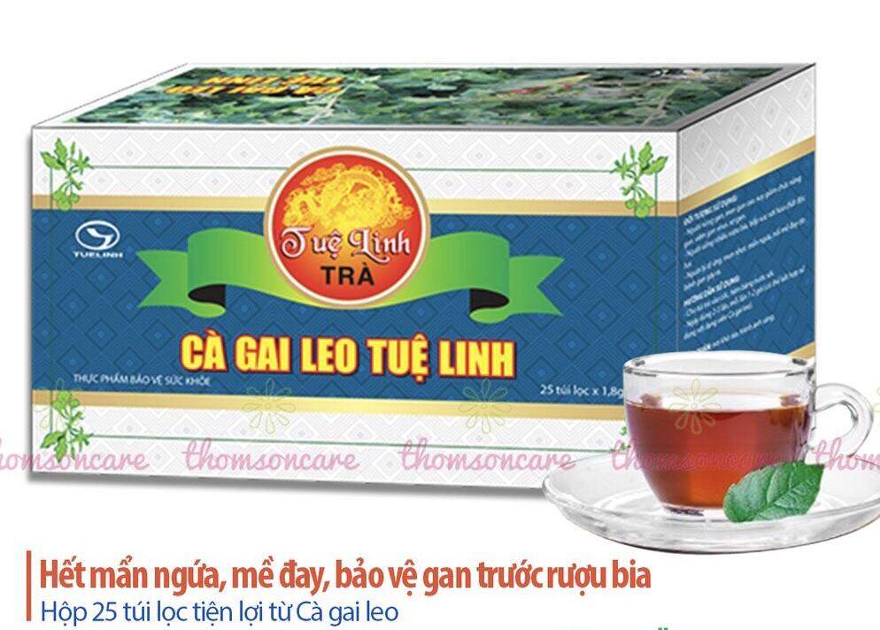 Trà cà gai leo Tuệ Linh - giải độc gan