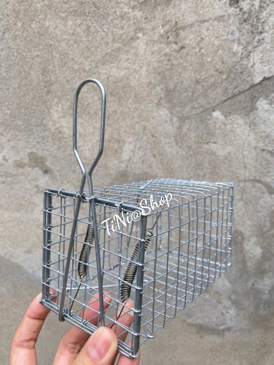 Combo 10 Bẫy Chuột Đồng 8x8x15cm