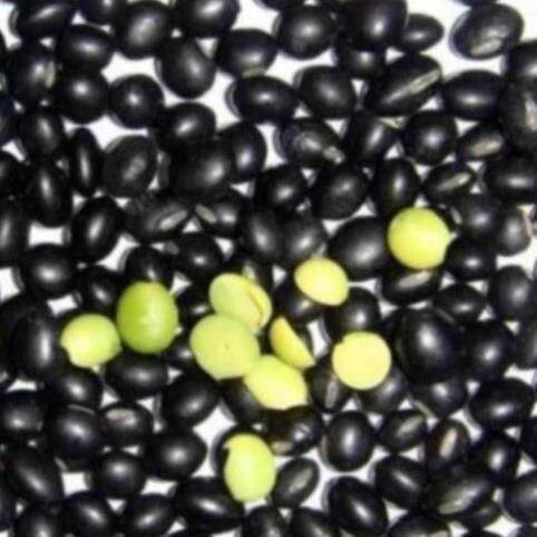 TRÀ ĐẬU ĐEN XANH LÒNG 500GRAM (NỮA KÝ)