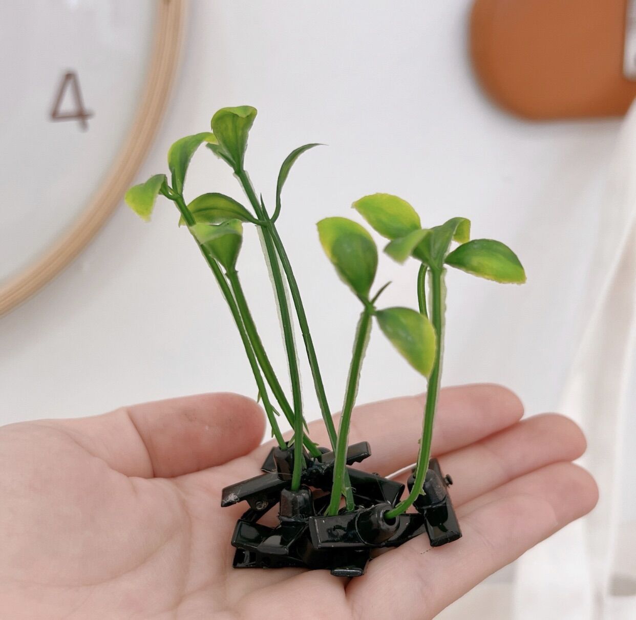 10 Kẹp tóc mầm cây cute
