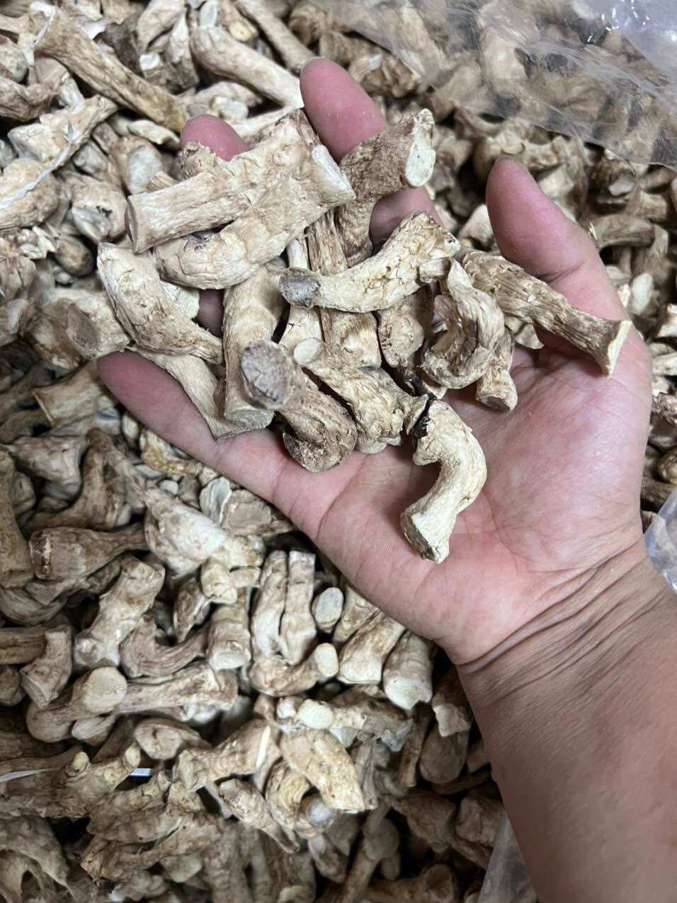 1KG chân nấm khô
