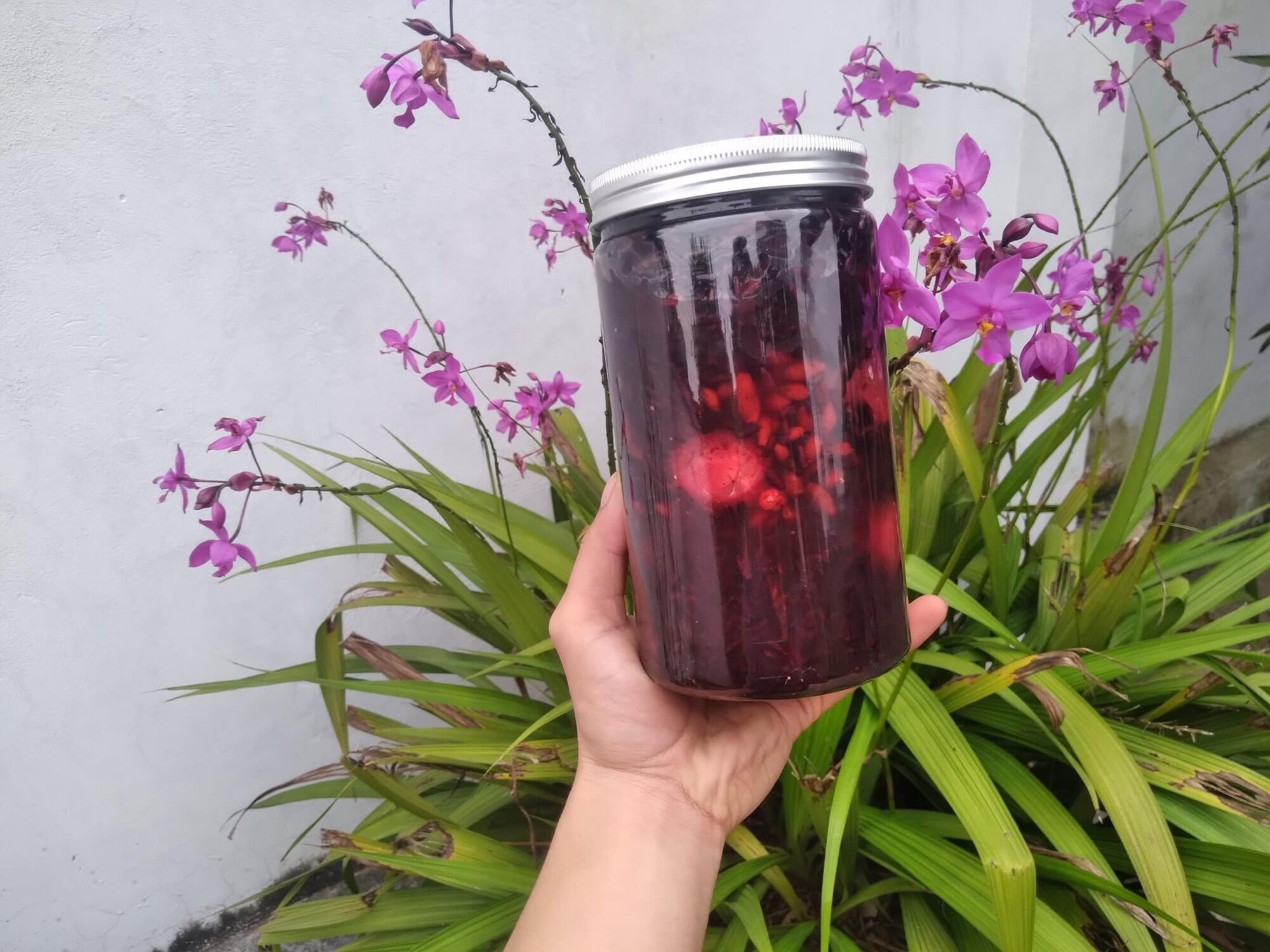 Trứng gà ta ngâm nếp cẩm hạ thổ