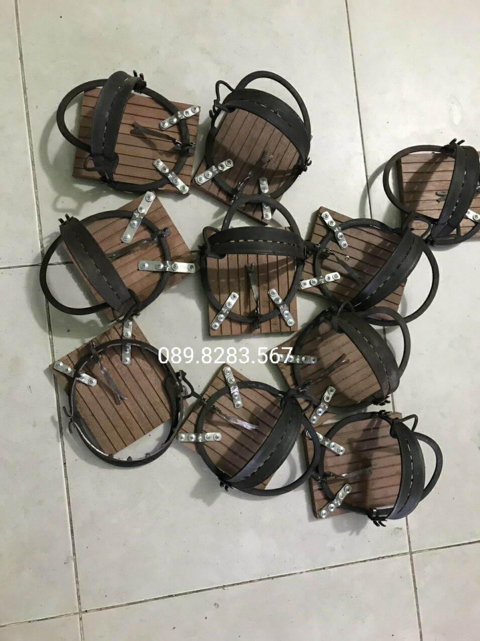 [HCM]Bẩy chim cú mèo