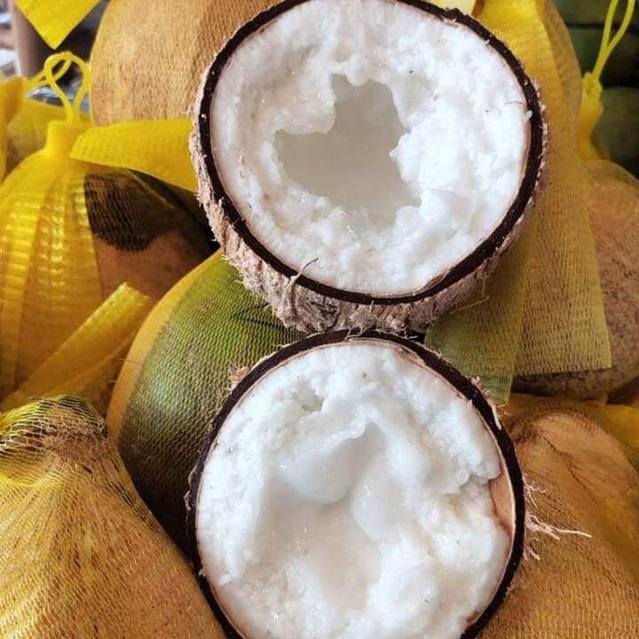 Dừa sáp trái 1kg trở lên bao ngon