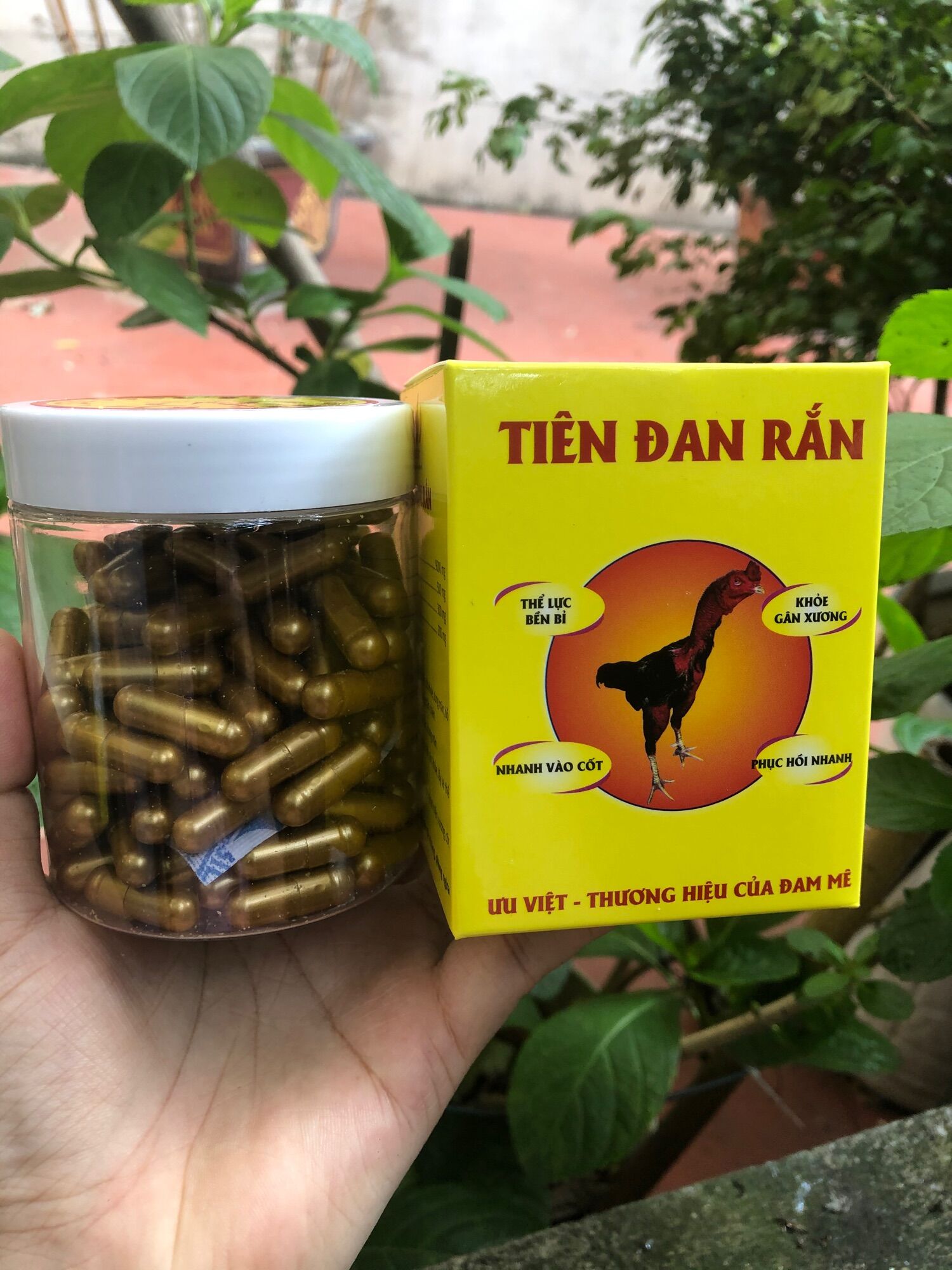 Mồi rắn Ưu việt