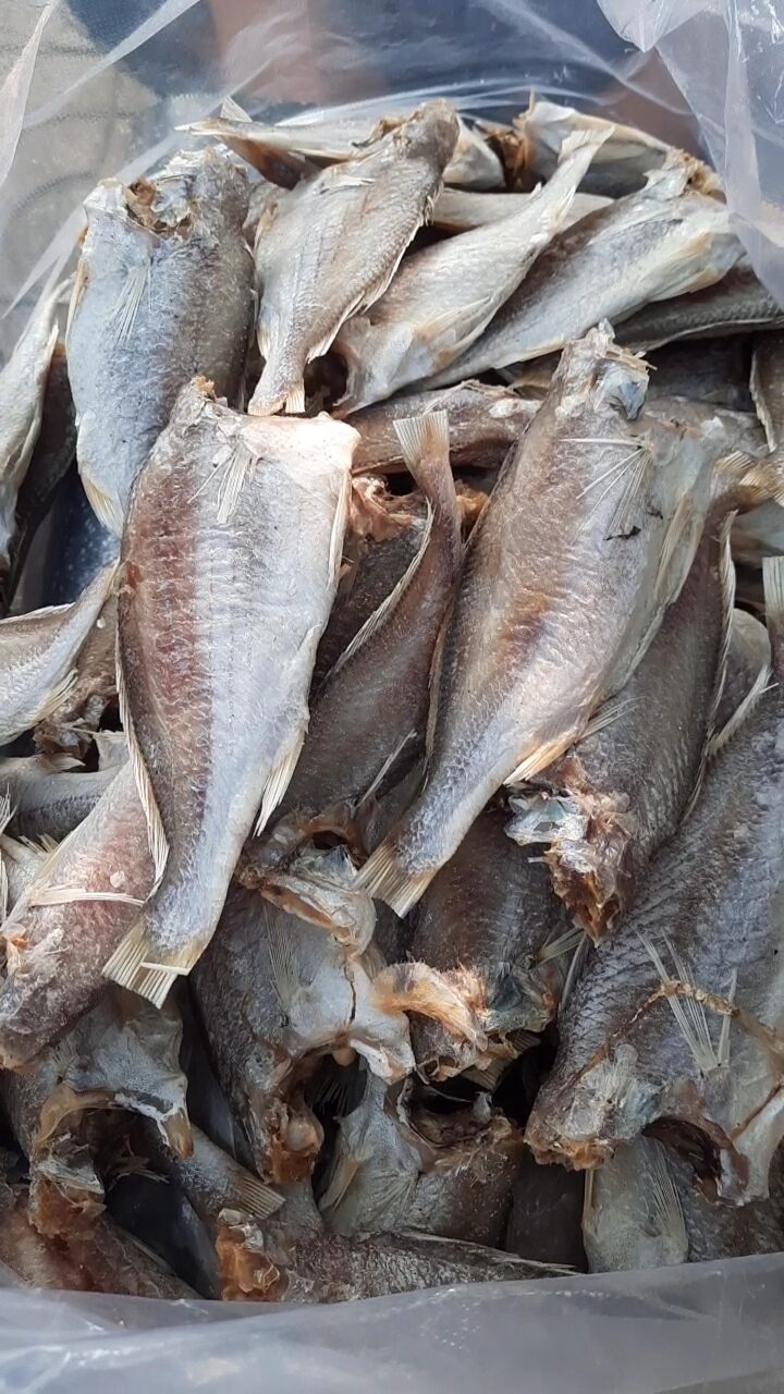 Cá đù khô nguyên con 500g