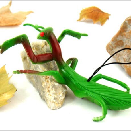 Đồ chơi côn trùng Châu chấu/cào cào bằng su