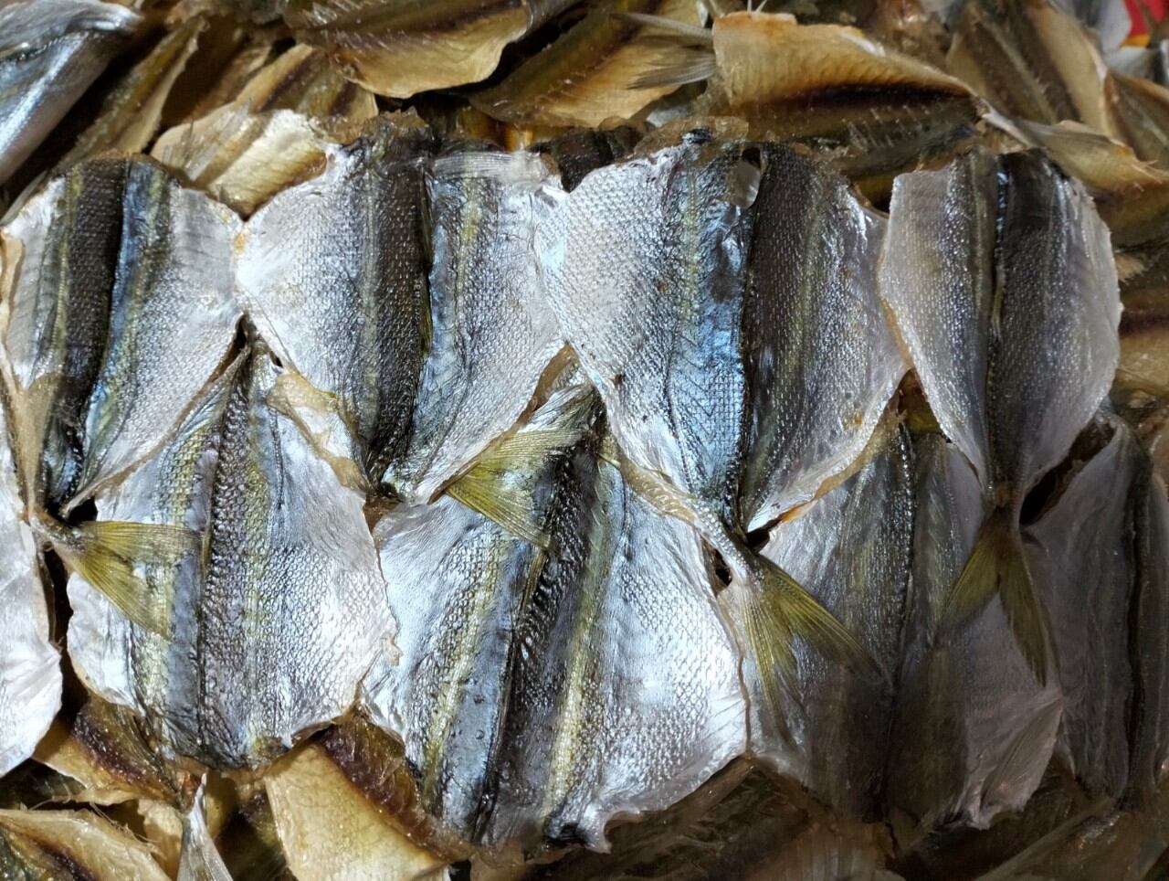 0.5 kg cá chỉ vàng Cửa Lò ( chuẩn 2 chỉ vàng trên lưng)