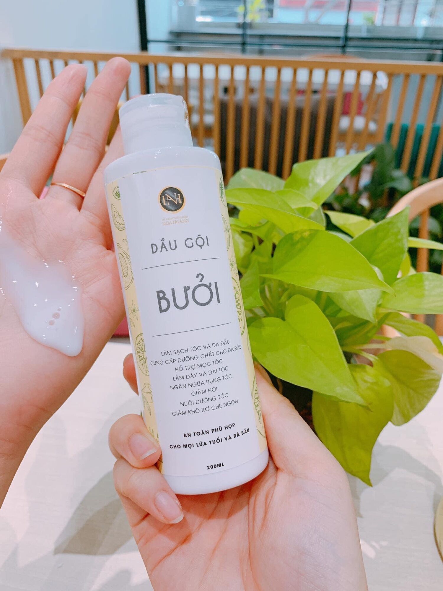 Gội bưởi nga hoàng