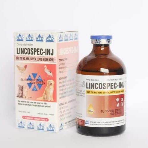 Lincospec - INJ ( 20cc )  chích khò khè cho gà-- CHÍCH TANG SAU ĐÁ [ LỌ 20 ml ]