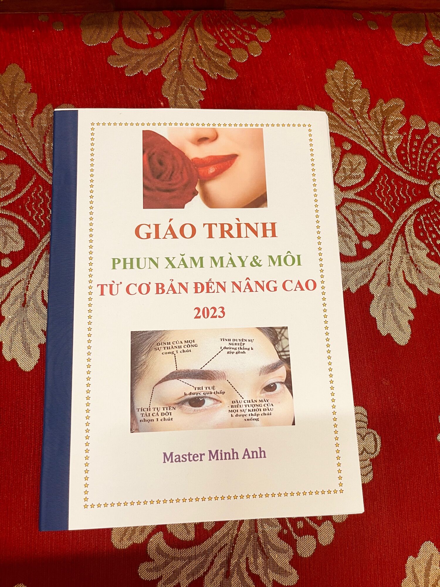 GIÁO TRÌNH PHUN XĂM MÀY MÔI TỪ CƠ BẢN ĐẾN NÂNG CAO
