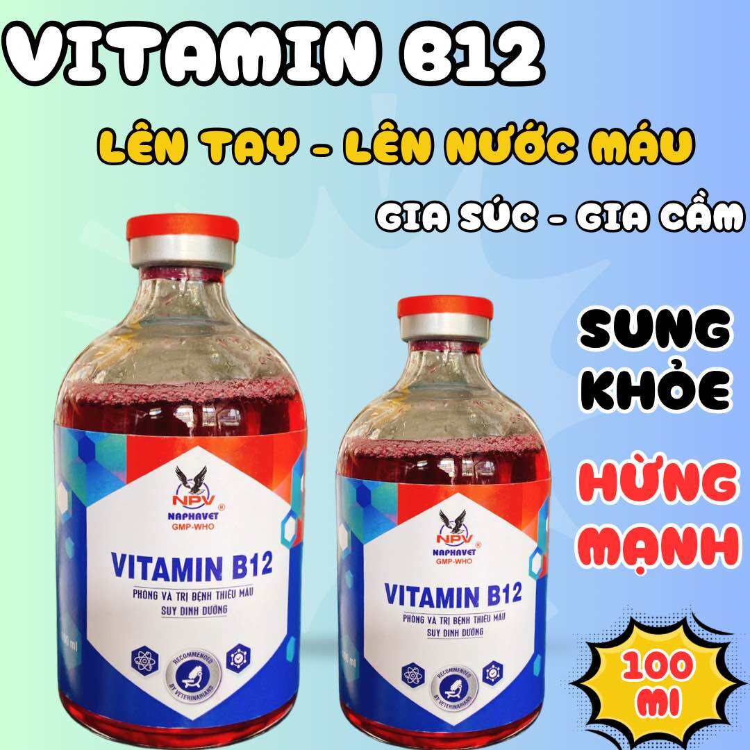 Vitamin B12 bồi dưỡng, tăng trọng, lên nước máu cho gà đá