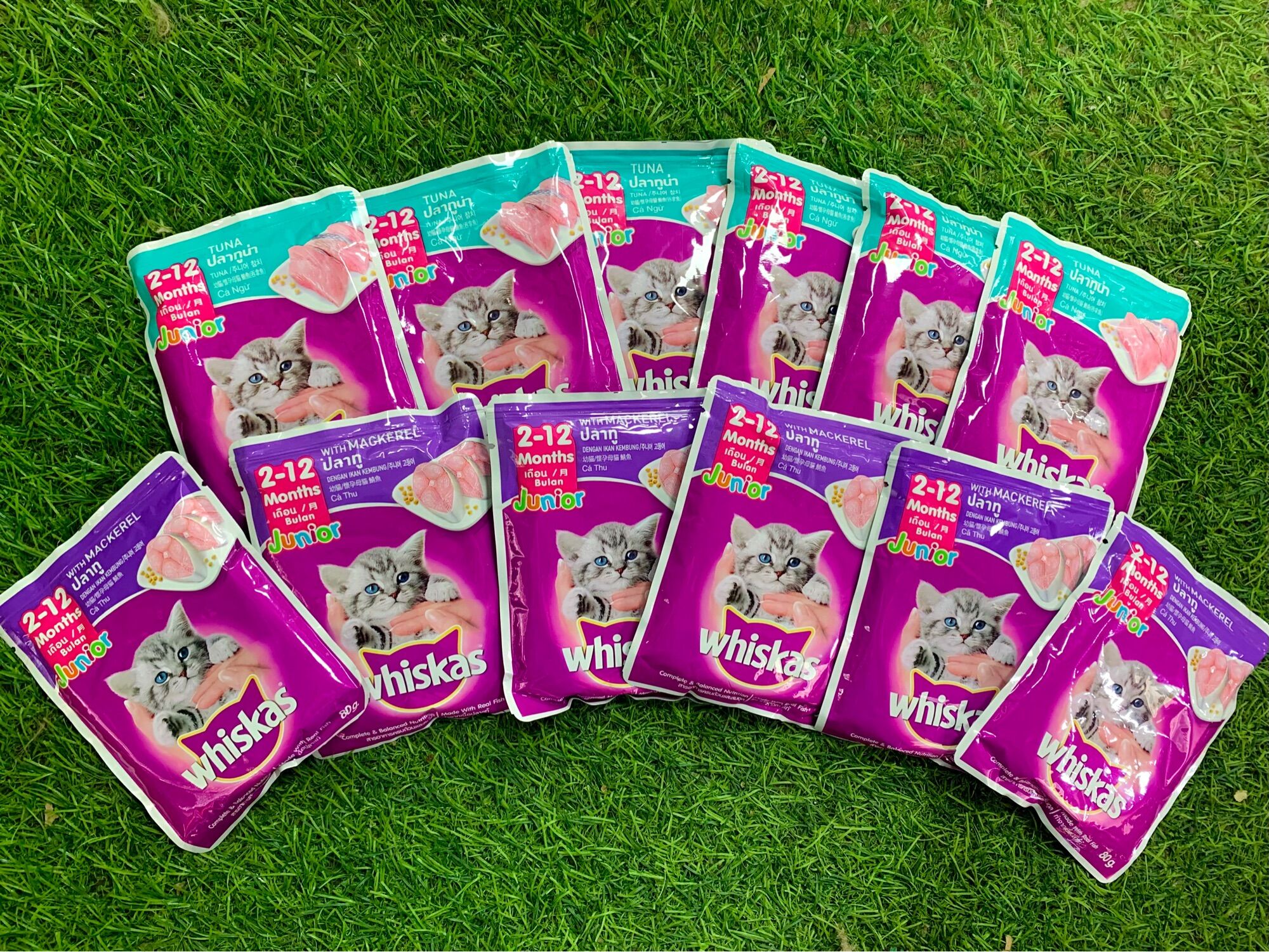 Combo 12 gói pate whiskas mèo con 85g