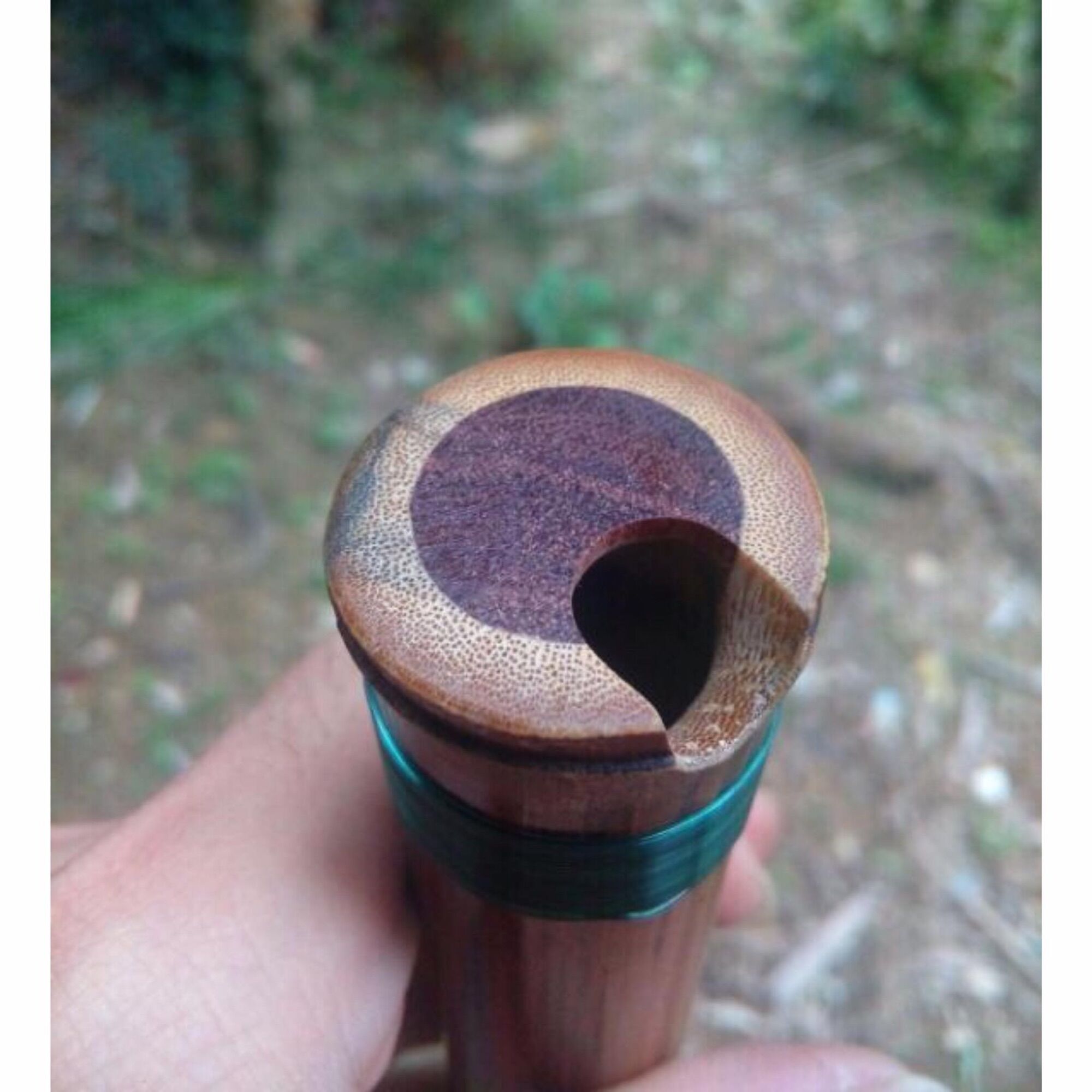 Tiêu Bát Khổng Trúc Hun D4