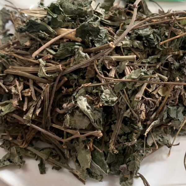 1kg lá lốt khô cây đảm bảo rửa sạch phơi khô chuẩn nhà làm