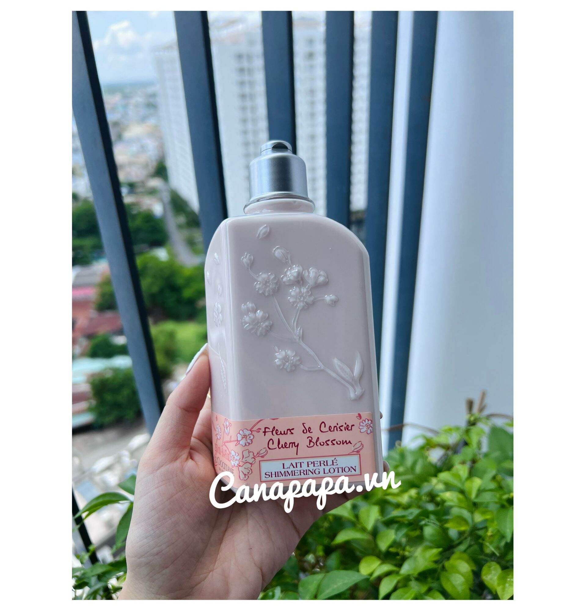 Dưỡng thể l'occitane anh đào