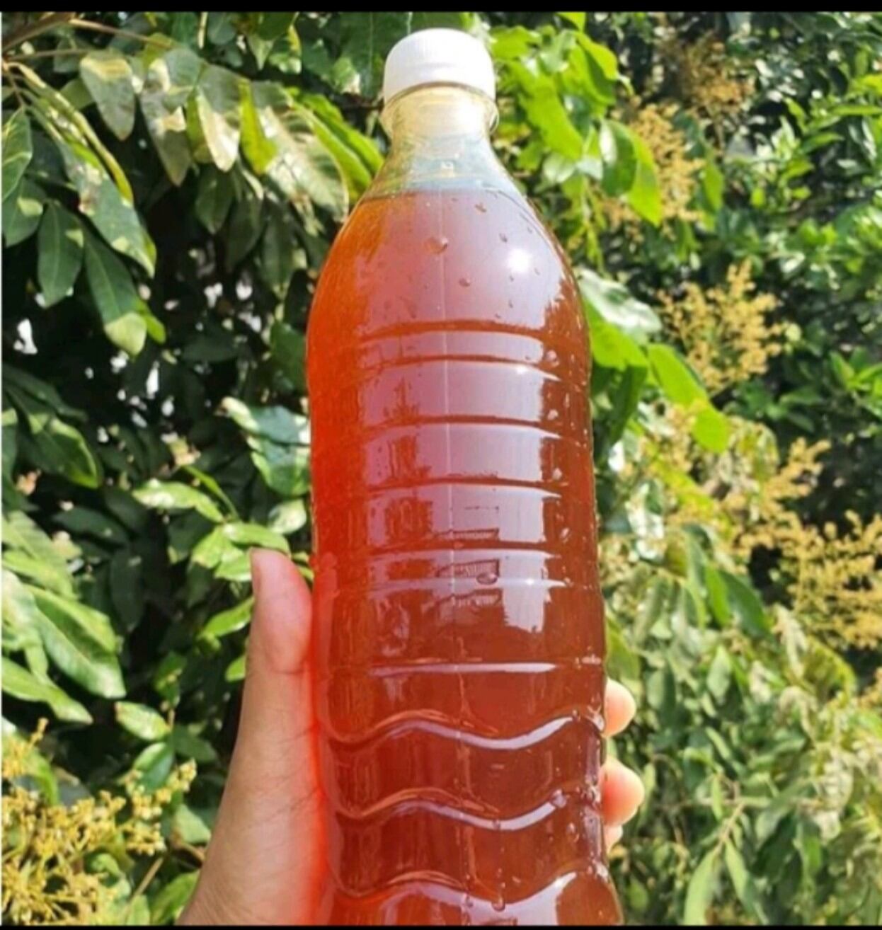 Mật ong nhãn Sơn La chuẩn nguyên chất 1lit