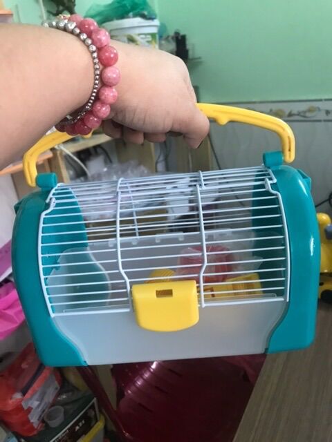 Lồng vận chuyển vẹt nhỏ / hamster.