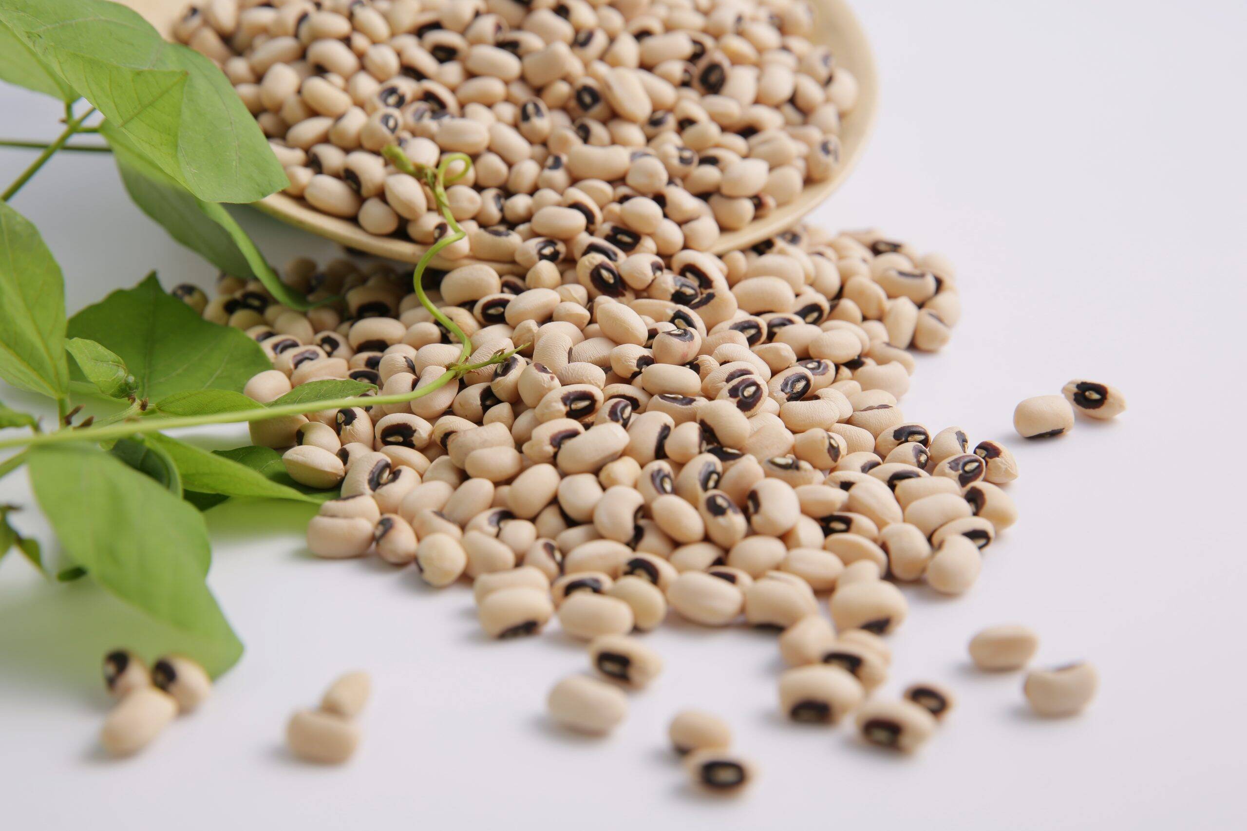 Đậu trắng bi túi 500gr