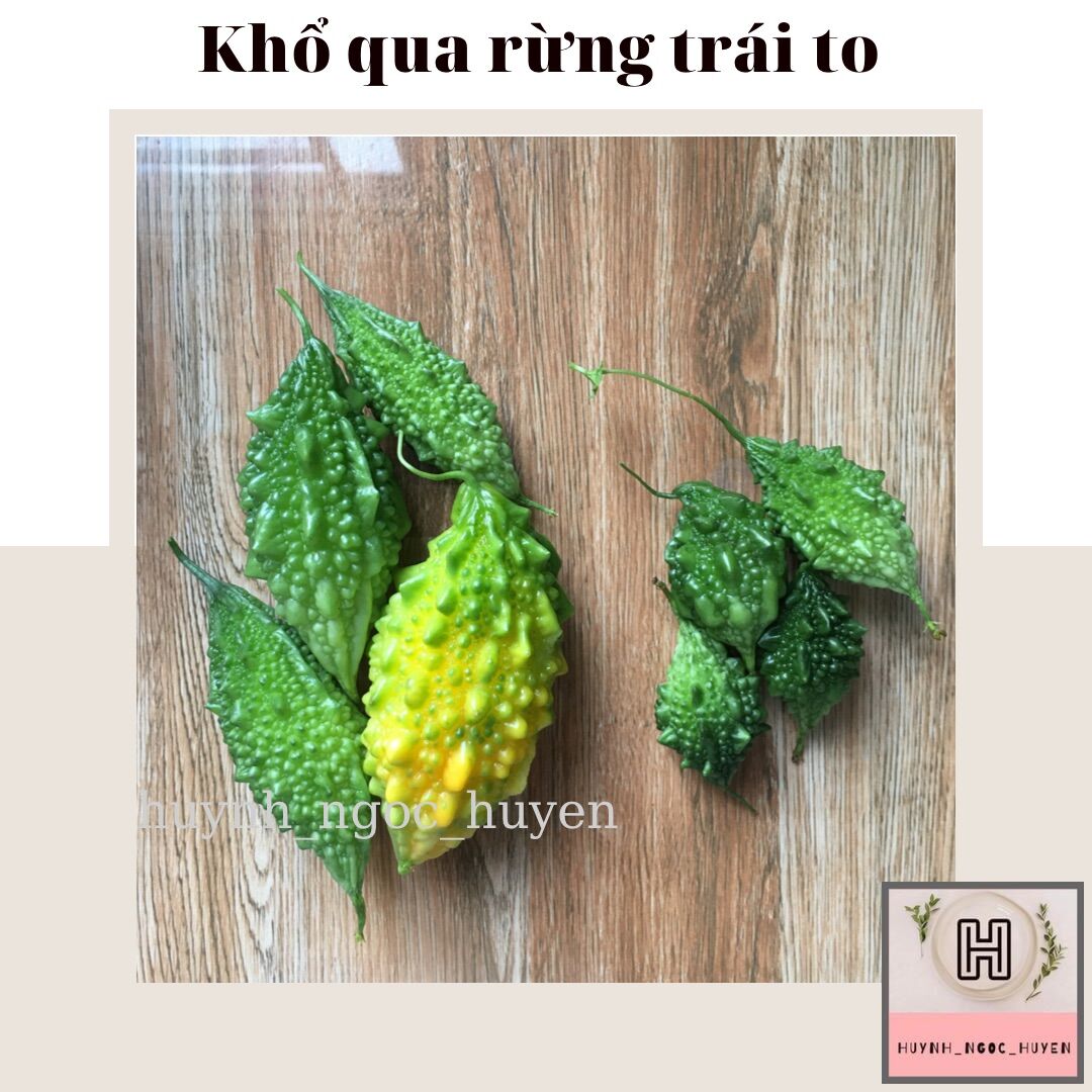 10H hạt giống khổ qua rừng trái to