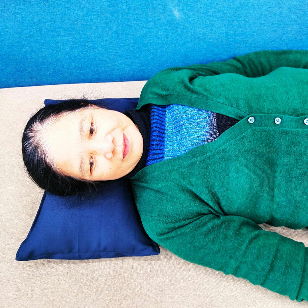Gối ngải cứu thảo mộc Tuệ Linh
