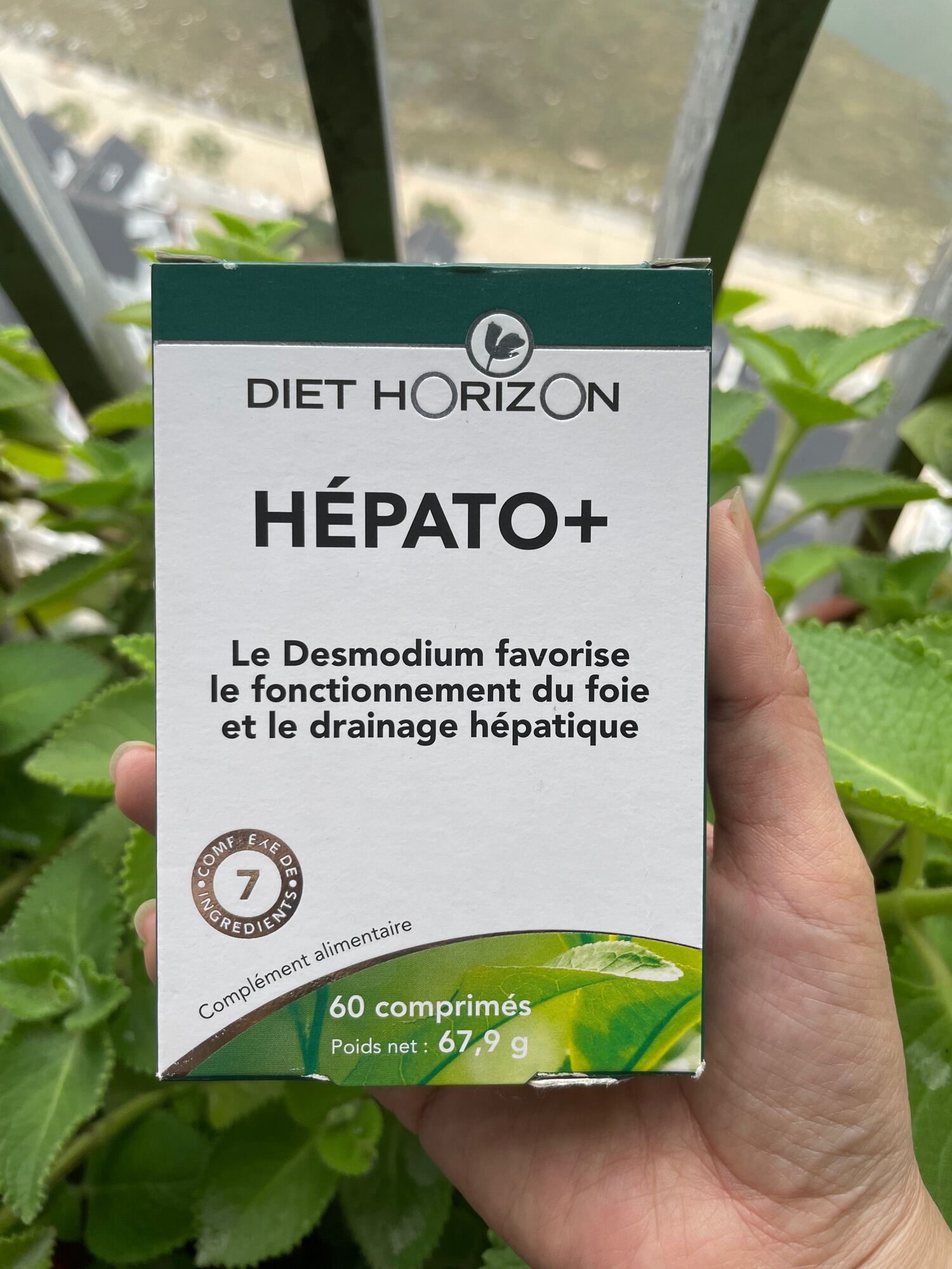 Hepato – Thải độc bổ Gan – Thận DIET HORIZON – PHÁP