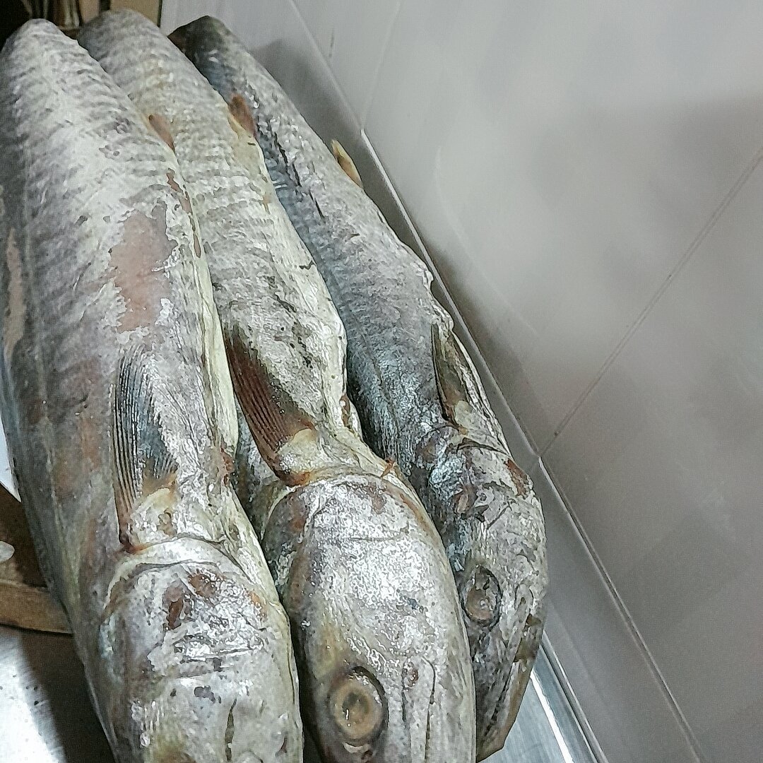 Mắm cá thu 1con/kg , thịt dai thơm ngon mắm cá thu chưng thịt ba chỉ, chưng thịt bằm ngon tuyệt, hình ảnh thật 100% cam kết hàng chuẩn