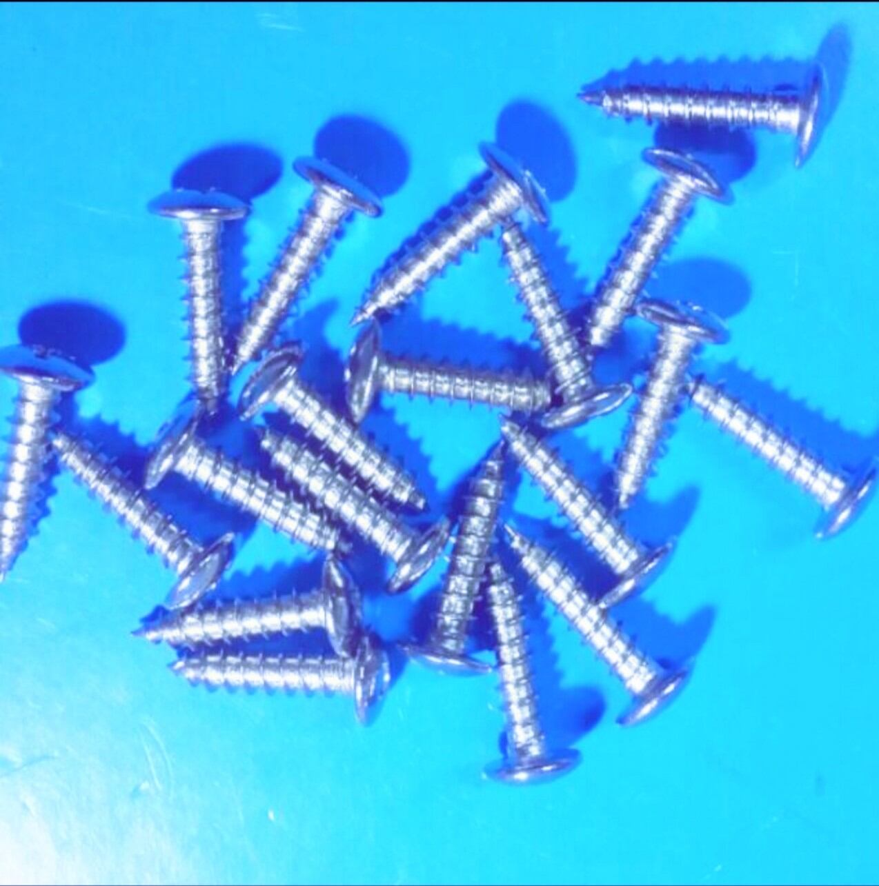 [HCM]VÍT DÙ XOẮN INOX 3LYx 2CMx100Gr