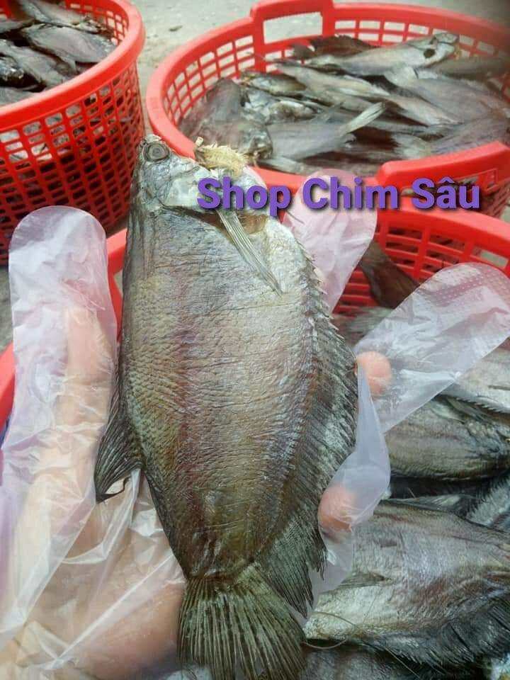 Khô sặc rằn (Sặc bổi)Cà Mau ( Loại 11 đến 12 con/kí)