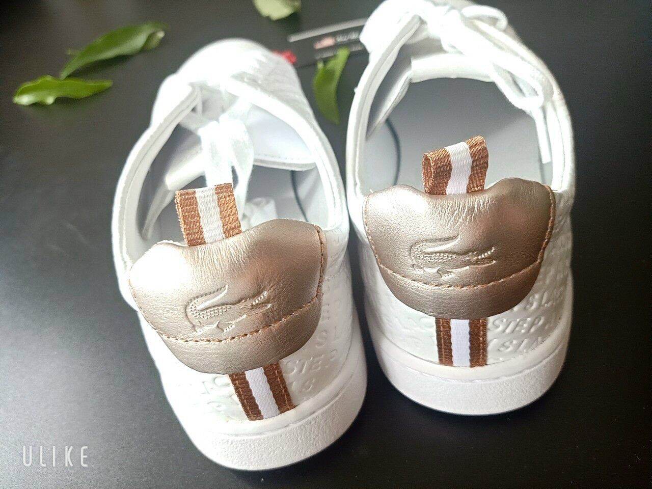 Giày nam hiệu Lacoste