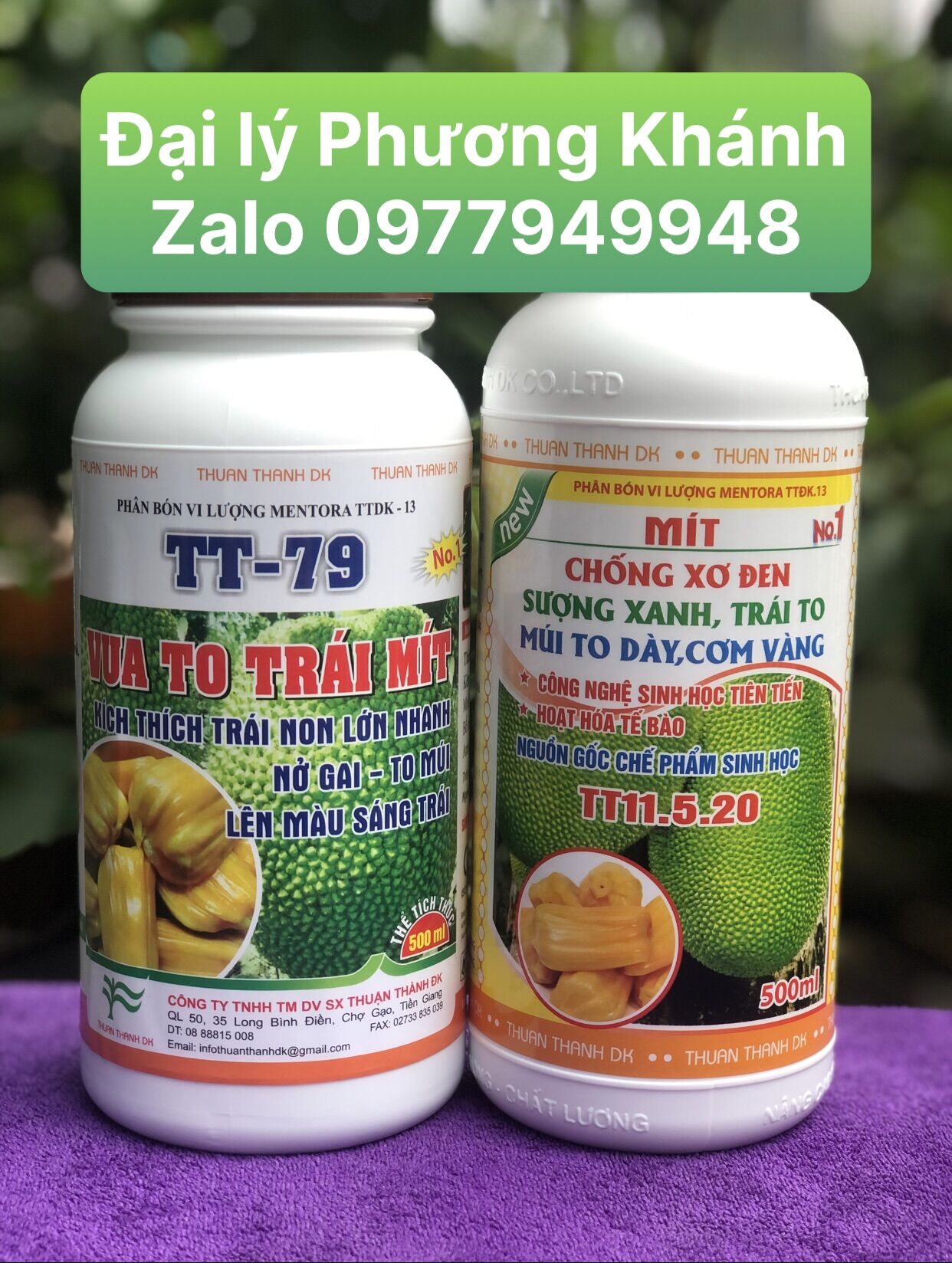 Phân bón lá v.ua lớn trái + ngừa sơ đen mít | cty thuận thành dk