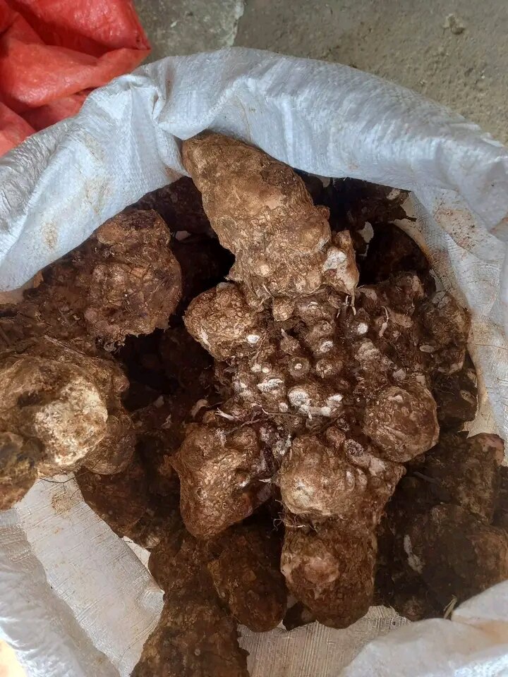 1kg củ khúc khắc khô (thổ phục linh) loại 1