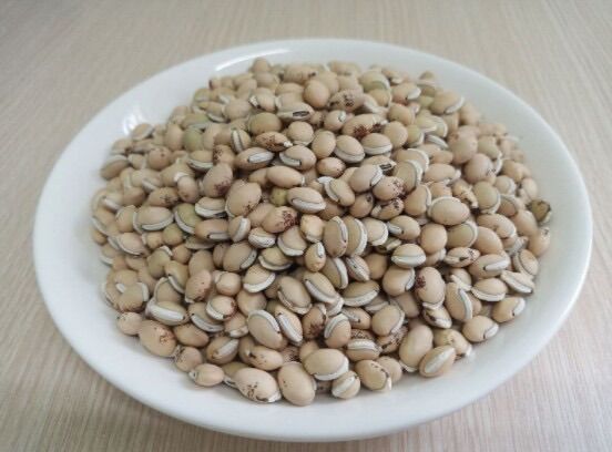 1 Ký Đậu Ván Nấu Chè - Không Có Hạt Sâu