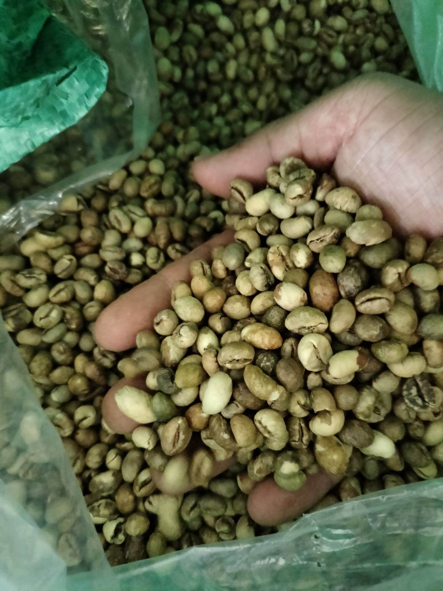 1Kg CULI Robusta(rang bơ) cà phê hạt s18