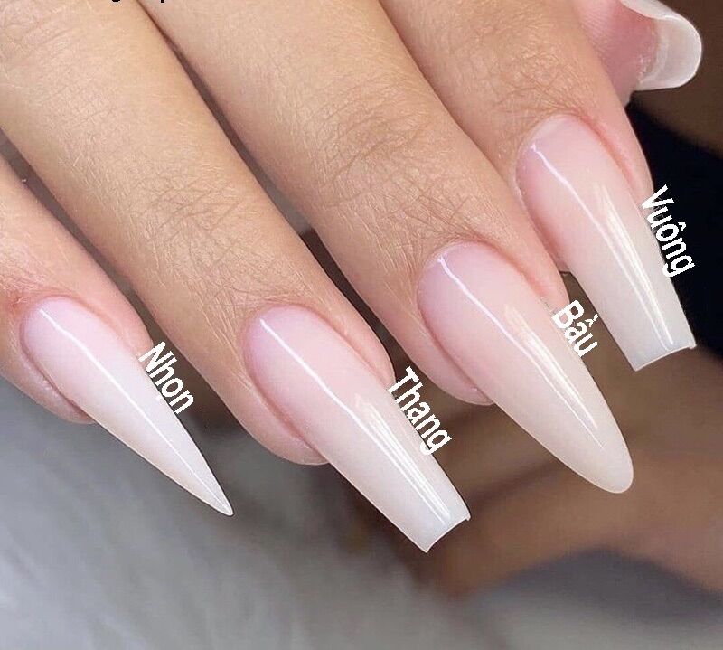 Móng tay giả thiết kế/ Nailbox
