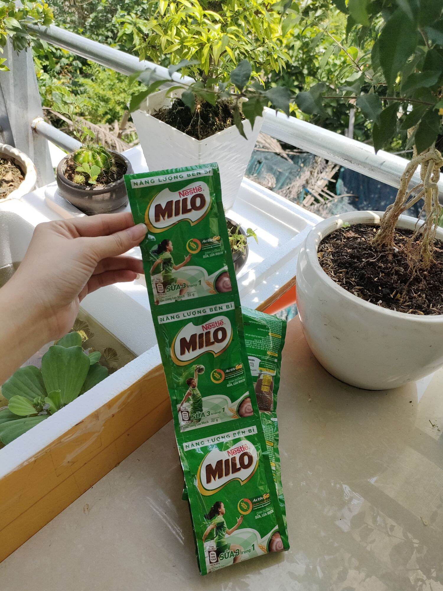 [HCM] Combo 2 Dây Sữa Milo Dây (10 gói × 22g)