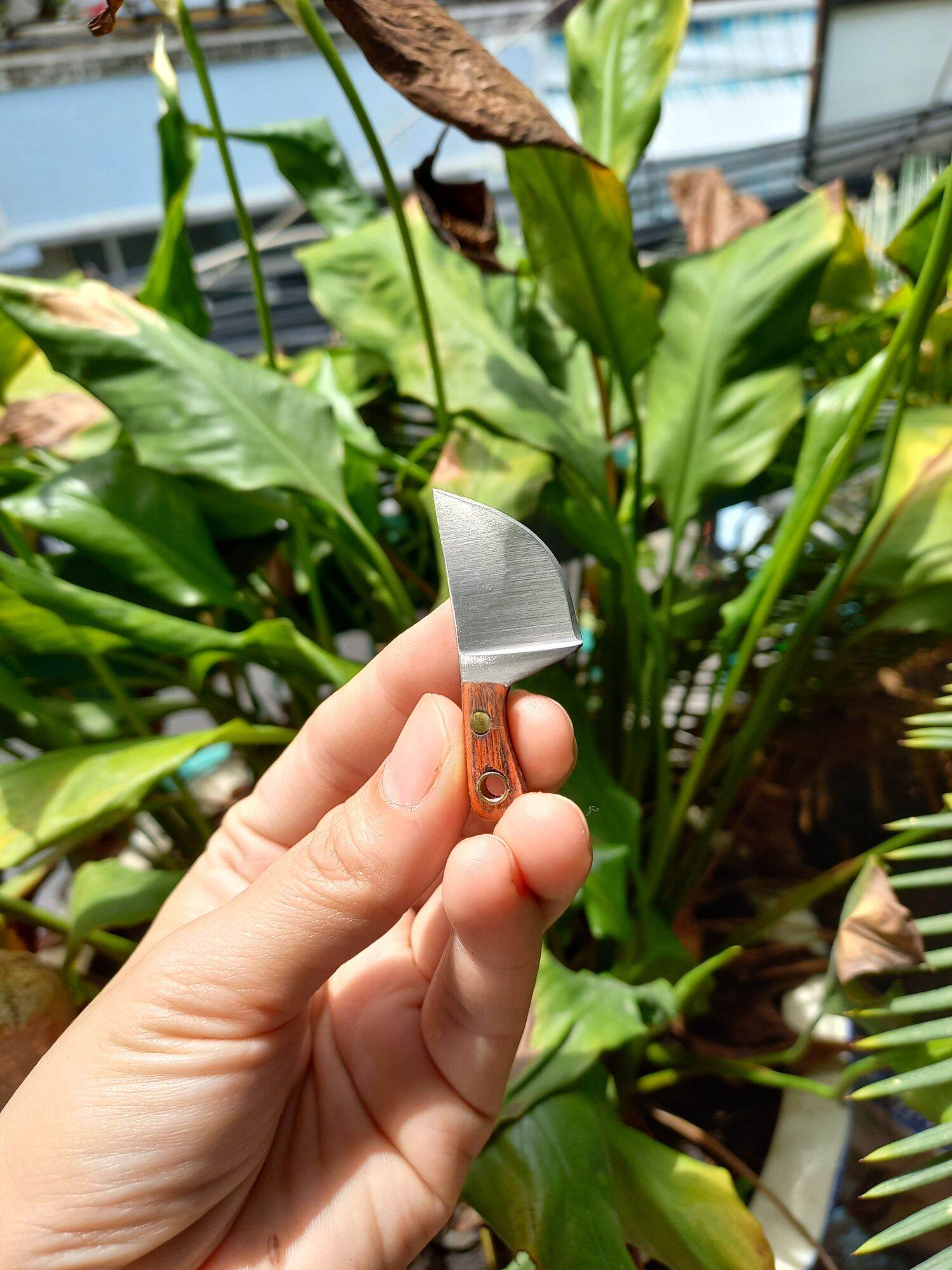 Đồ chơi nấu ăn mini