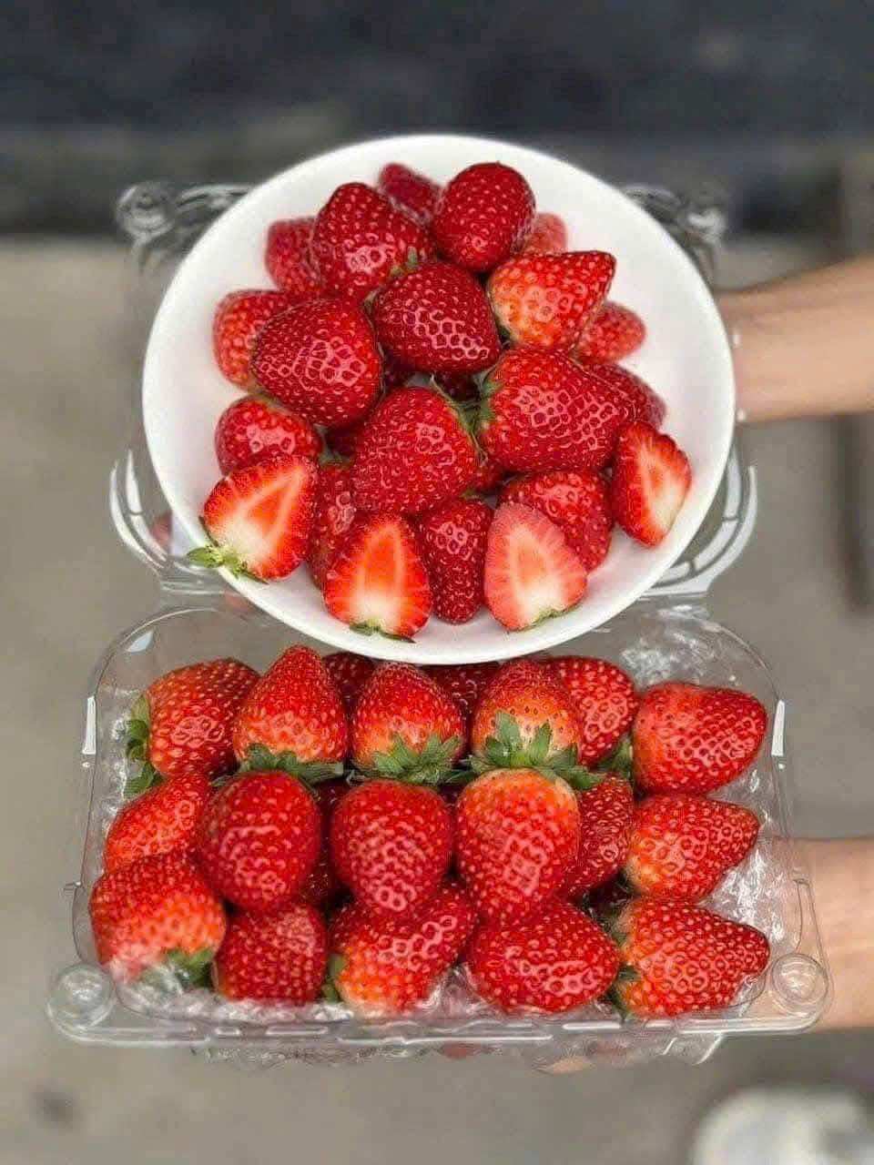 1kg Dâu Hana Mộc Châu, kèm muối ômai siêu siêu ngon (hàng bay)
