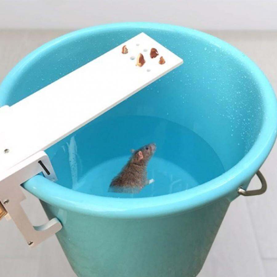 Trang chủ vườn DIY Pest điều khiển rat bẫy nhanh chóng giết bập bênh chuột Catcher Bait Home rat bẫy chuột Pest Chuột Bẫy Chuột Killer
