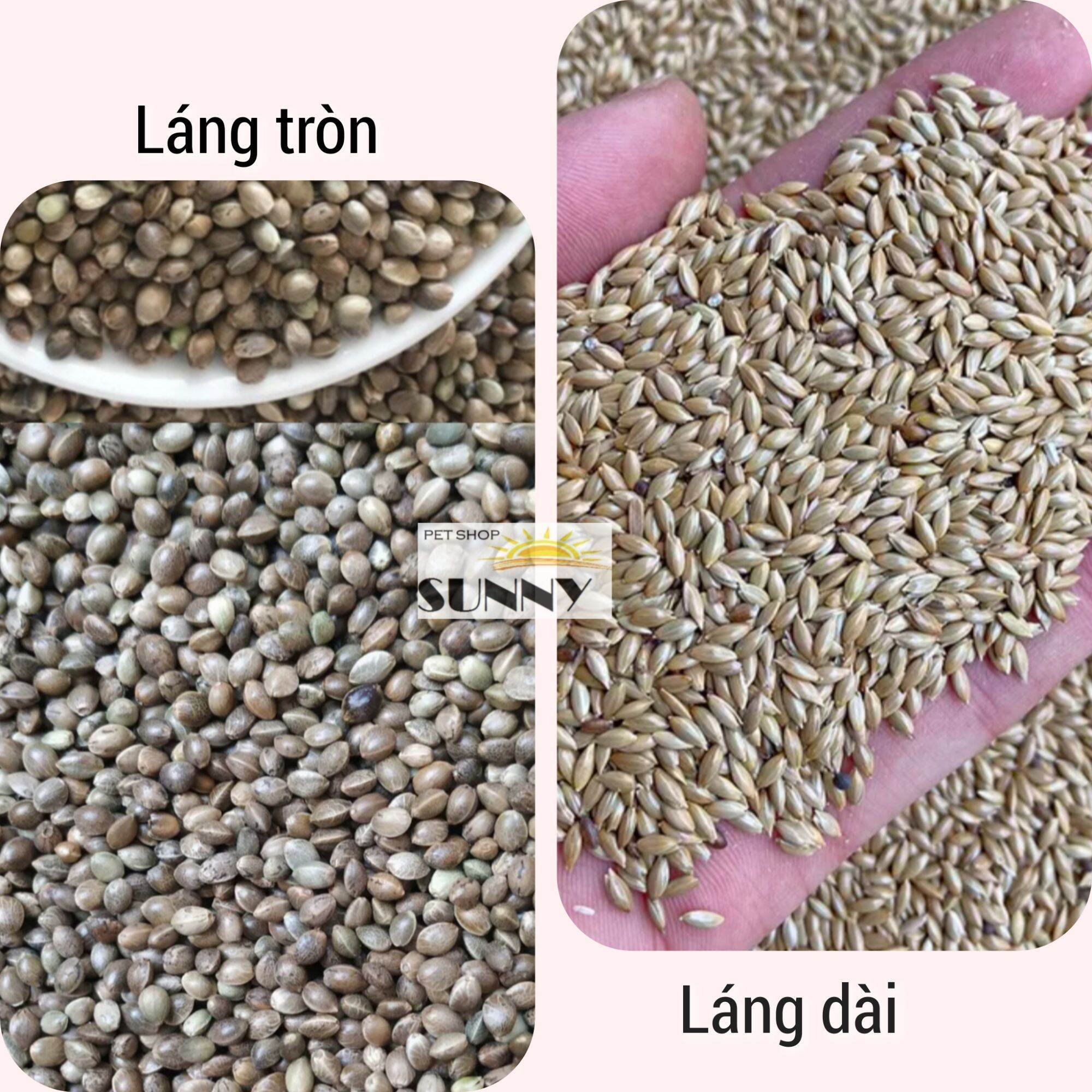 Hạt láng dưỡng lông hamster, sóc 100g
