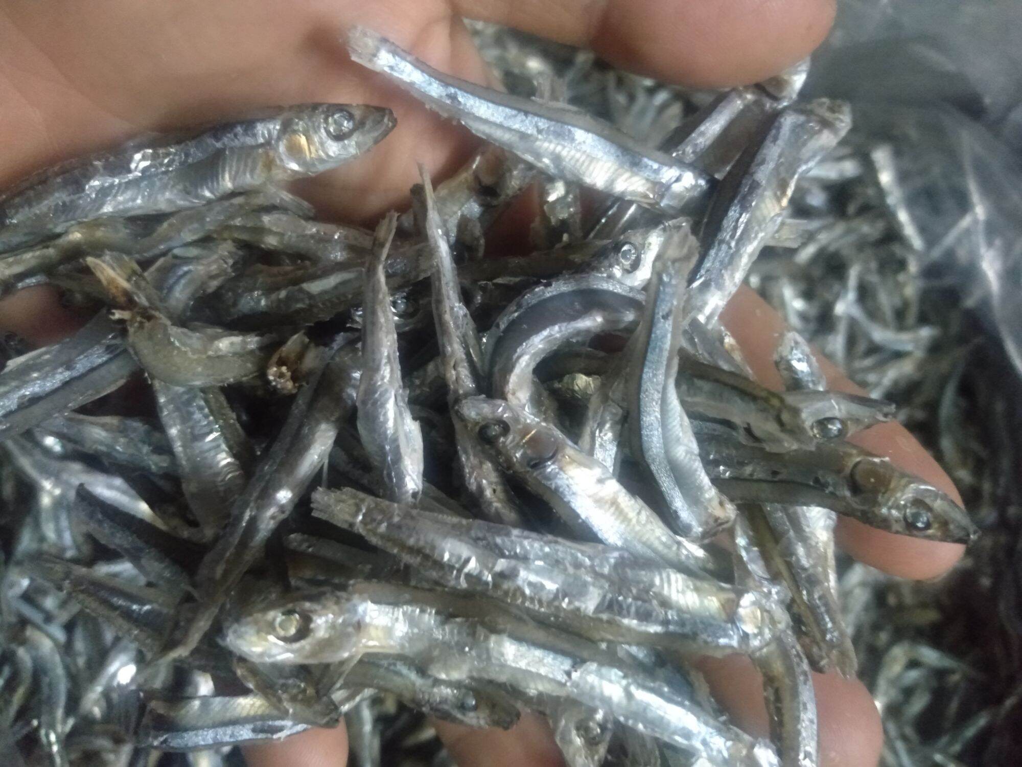 Khô cá cơm săn lạt (1kg)