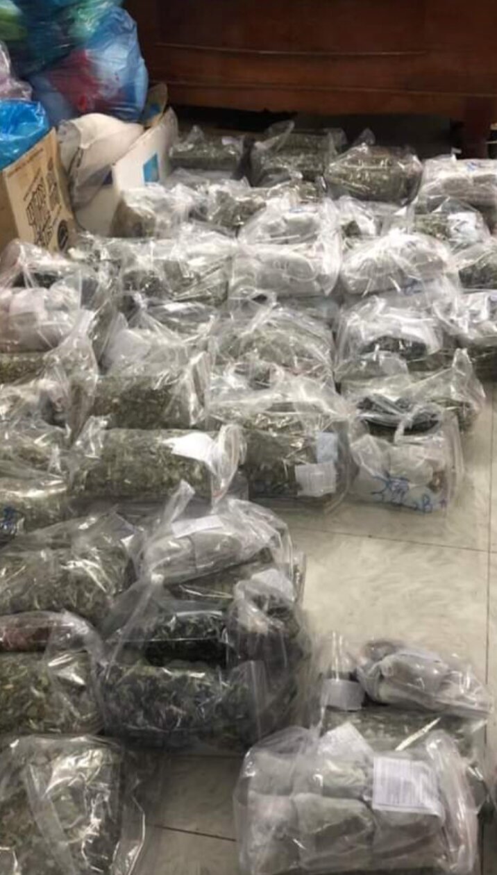 Trà lá Ổi giảm cân 30 gói